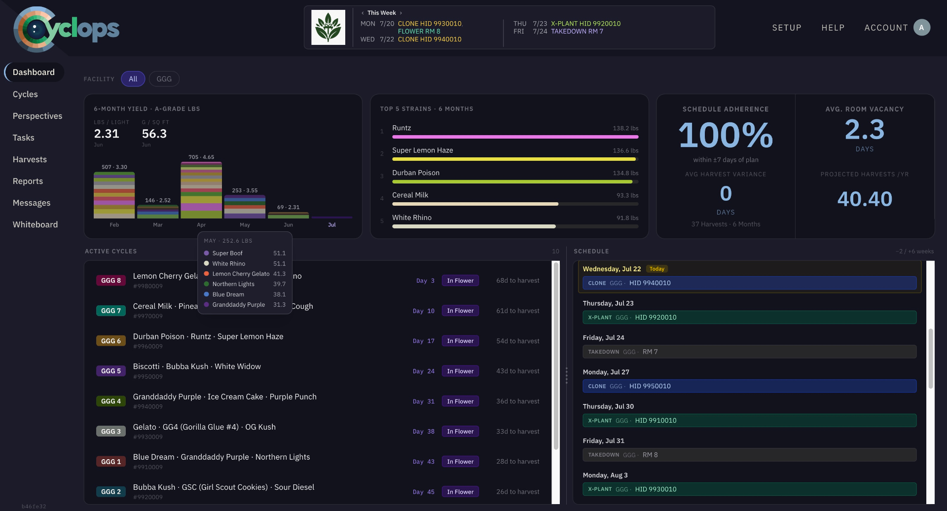 Cyclops dashboard showing 6-month yield, top strains, schedule adherence, active cycles and upcoming schedule